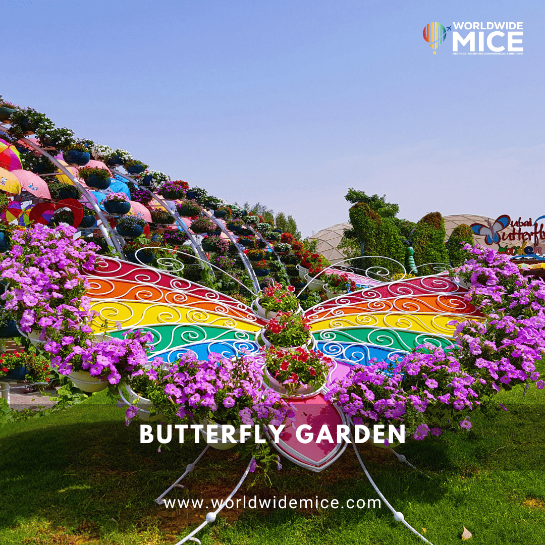 Butterfly Garden